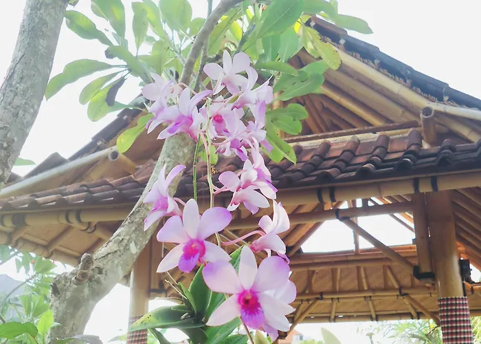 Sriwedari House Keramas 4*